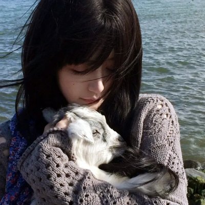 我的老婆是只猫