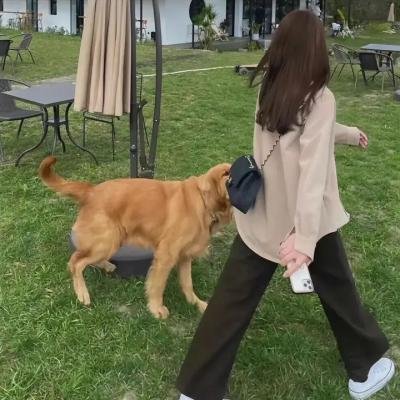 《罗刹人》